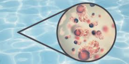 Recreational water illness prevention