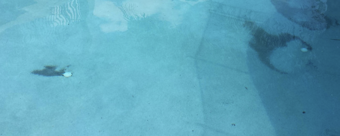 Stains on pool liner