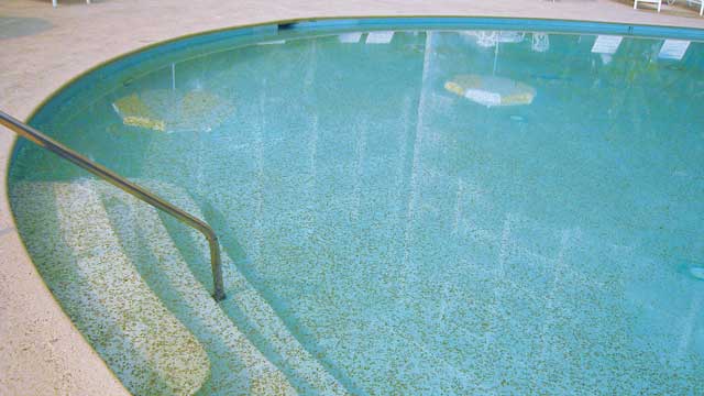 Cyanuric Acid Low in Pool Water? Essential Steps for Commerical Pools