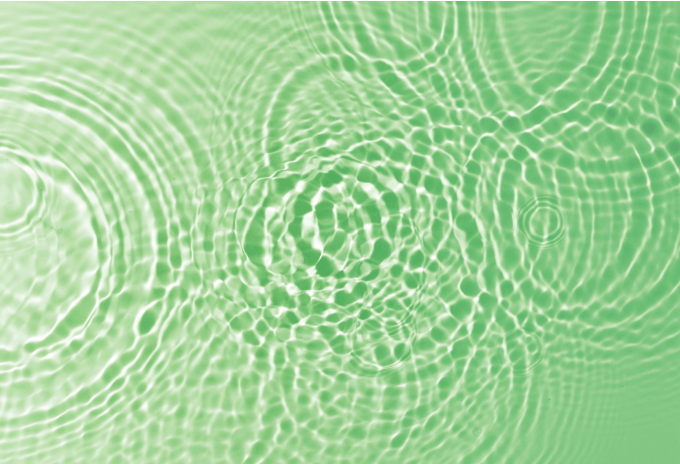 A Guide to Pool Algae